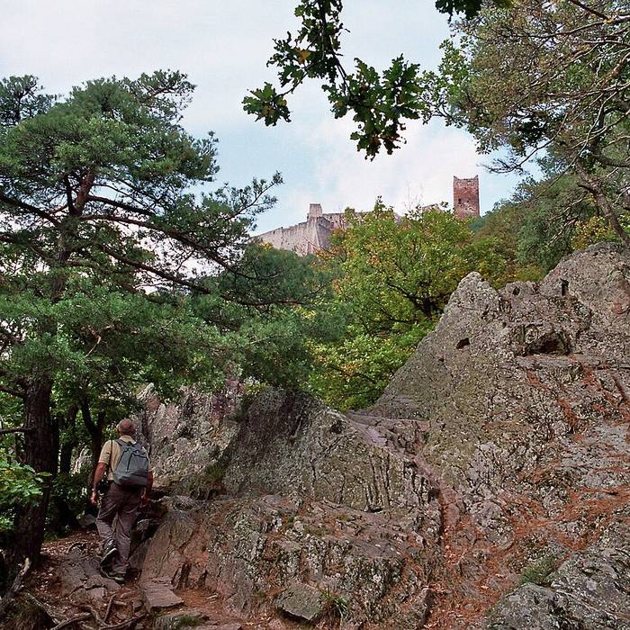 Photo de Château du Girsberg